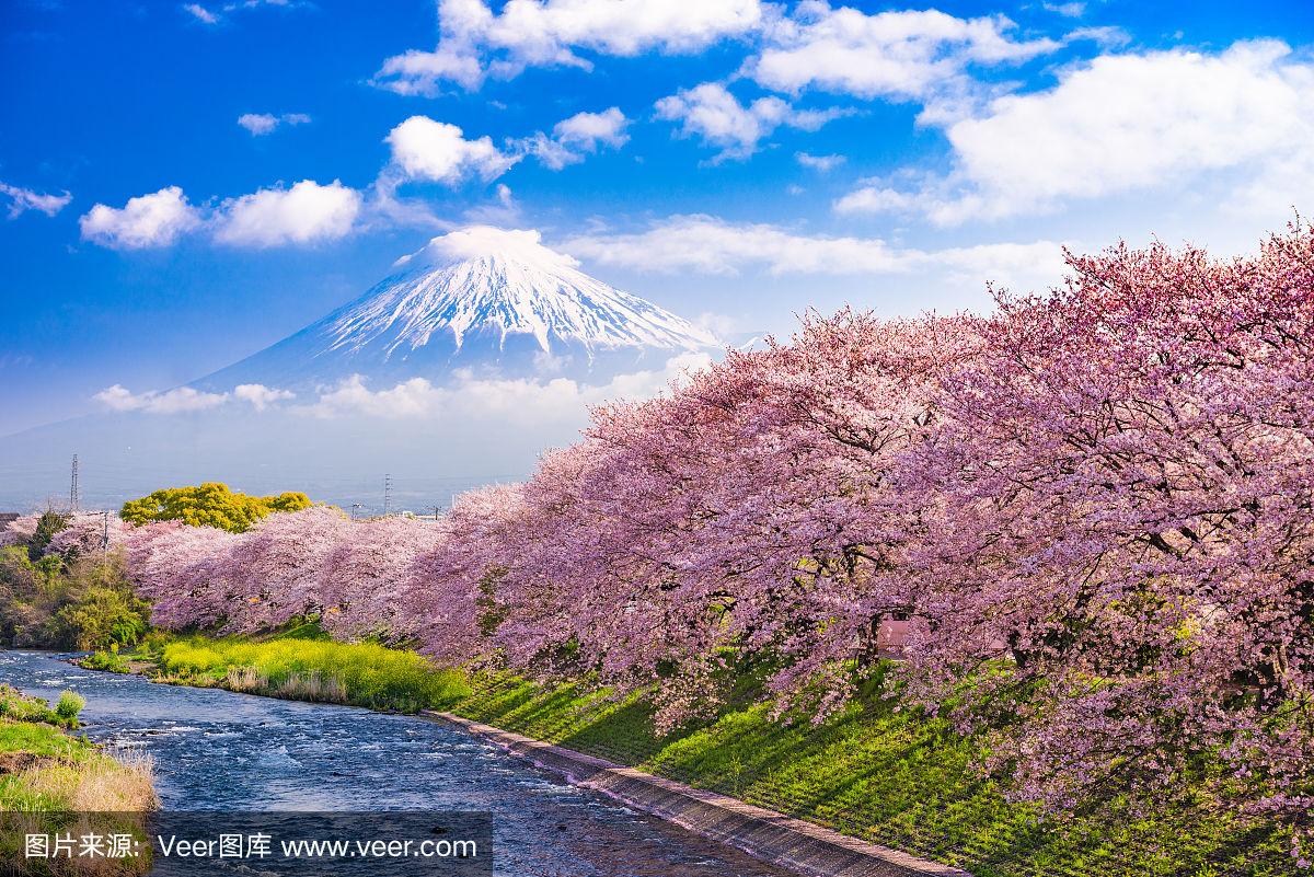 车险理赔流程是怎样的?